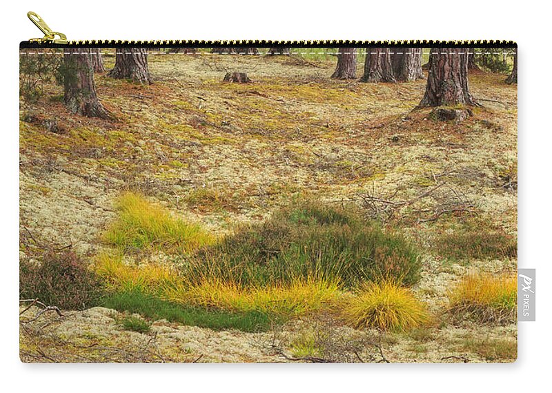 Lichen Zip Pouch featuring the photograph Lichens and Grasses on the Forest Floor by Louise Heusinkveld