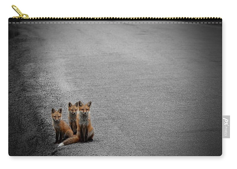Fox Zip Pouch featuring the photograph Life is an Unknown Highway by Jim Garrison