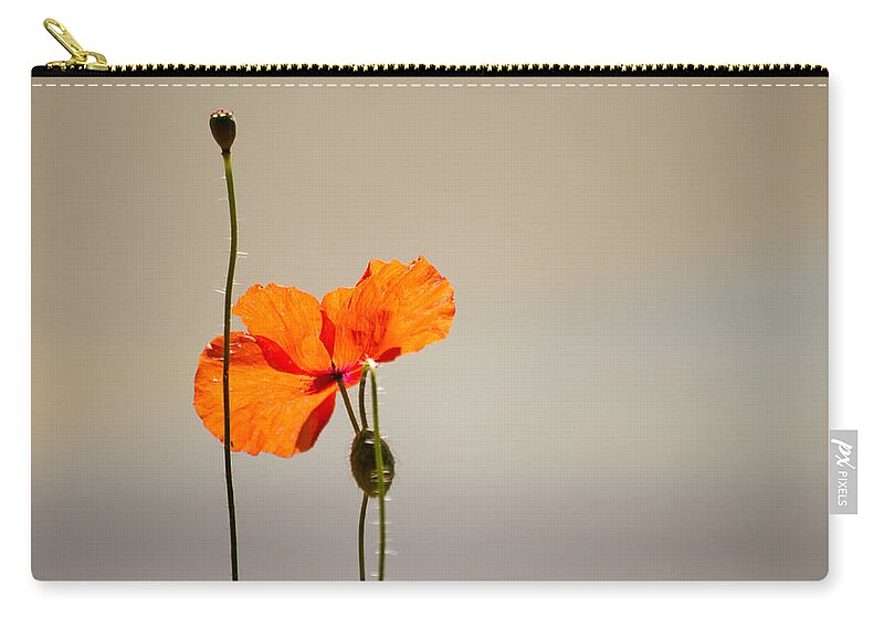 Poppy Carry-all Pouch featuring the photograph Life by Spikey Mouse Photography