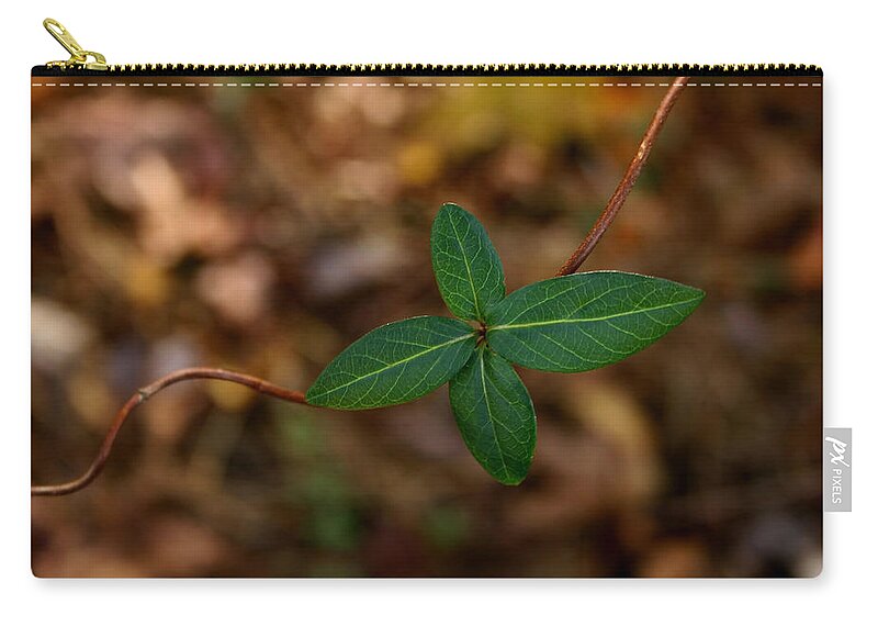 Green Zip Pouch featuring the photograph Life on a Vine by Karen Harrison Brown