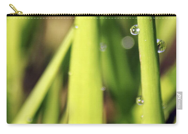Dew Zip Pouch featuring the photograph Life Through a Drop by Jason Politte
