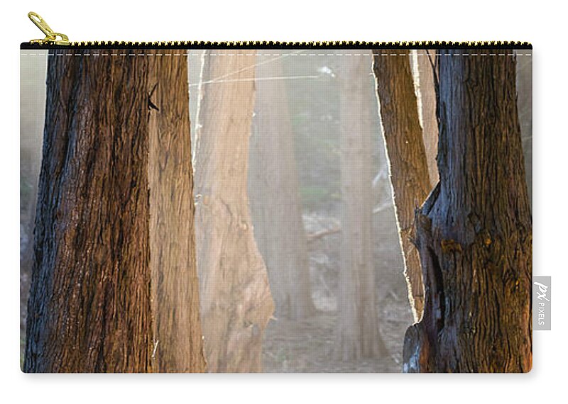 Morning Zip Pouch featuring the photograph Light by Alexander Fedin
