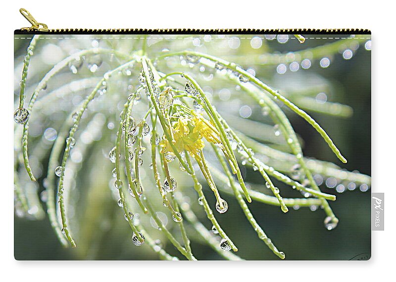 Water Drops Zip Pouch featuring the photograph Light Catchers by Kume Bryant
