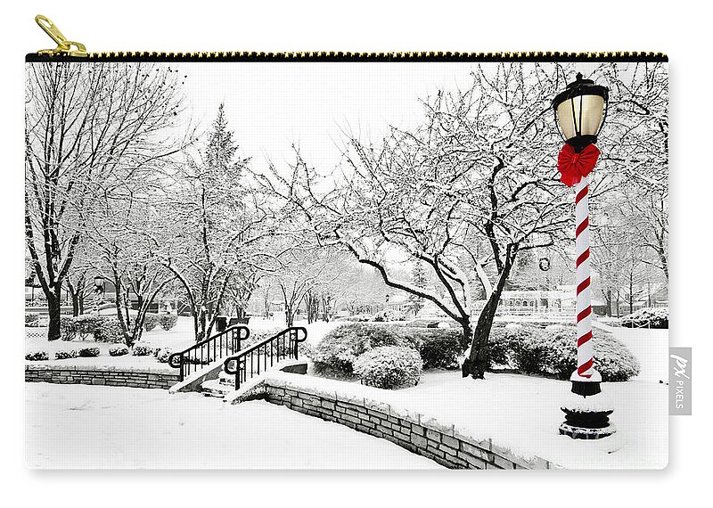 Winter Zip Pouch featuring the photograph Light in Winter by Patty Colabuono