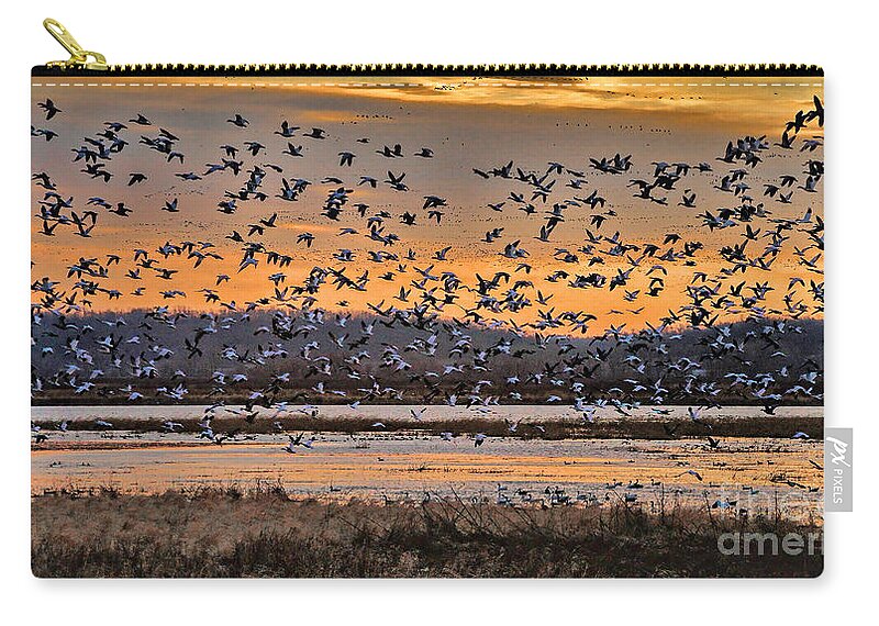Migration Zip Pouch featuring the photograph Light of Dawn by Elizabeth Winter