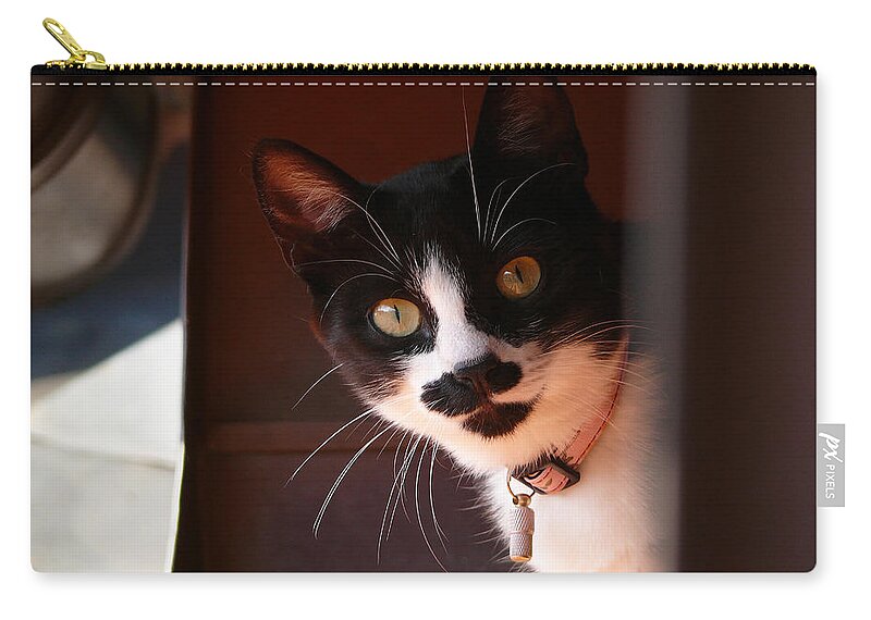 Cat Zip Pouch featuring the photograph Lilly by Evelyn Tambour
