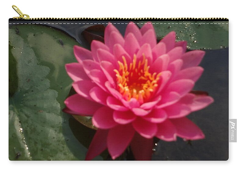 Lily Flower Zip Pouch featuring the photograph Lily flower in bloom by Michael Porchik
