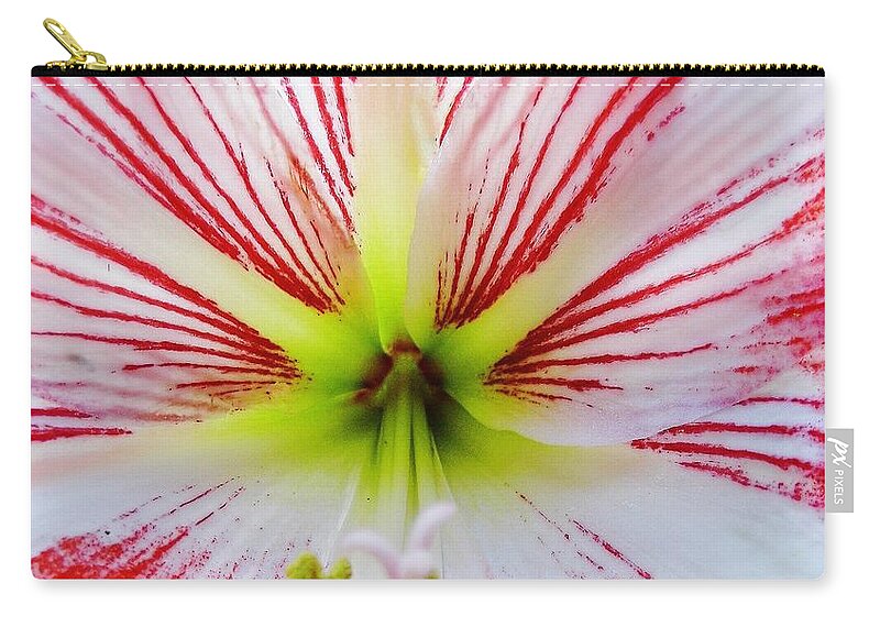 Bestseller Zip Pouch featuring the photograph Lily Wow by D Hackett