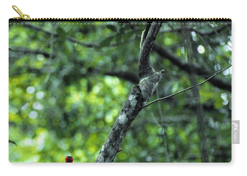Animal Zip Pouch featuring the photograph Lineated Woodpeckers by J. Gerard Sidaner