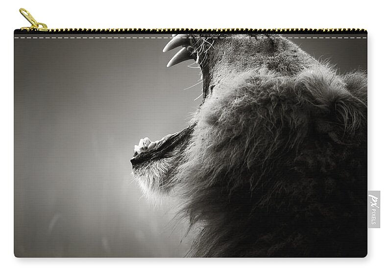 Lion Zip Pouch featuring the photograph Lion displaying dangerous teeth by Johan Swanepoel