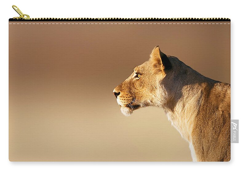 Lion Zip Pouch featuring the photograph Lioness portrait by Johan Swanepoel