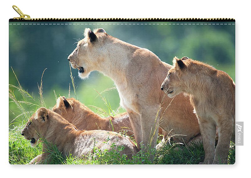 Kenya Zip Pouch featuring the photograph Lioness With Cubs In The Green Plains by Guenterguni