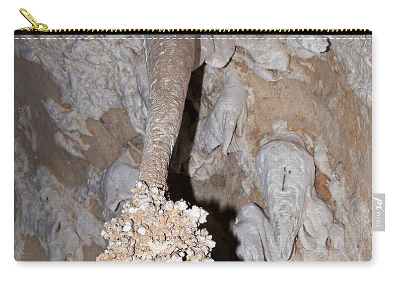 Carlsbad Zip Pouch featuring the photograph Lions Tail Carlsbad Caverns National Park by Fred Stearns
