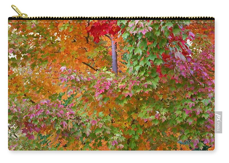 Fall Foliage Zip Pouch featuring the photograph Liquid Amber Magic by Michele Myers