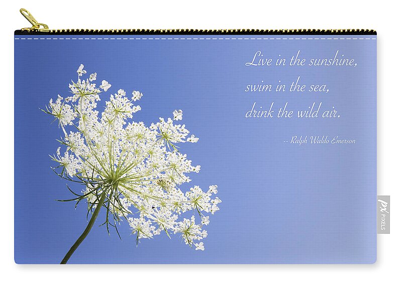 Queen Anne's Lace Zip Pouch featuring the photograph Live in the Sunshine by Patty Colabuono