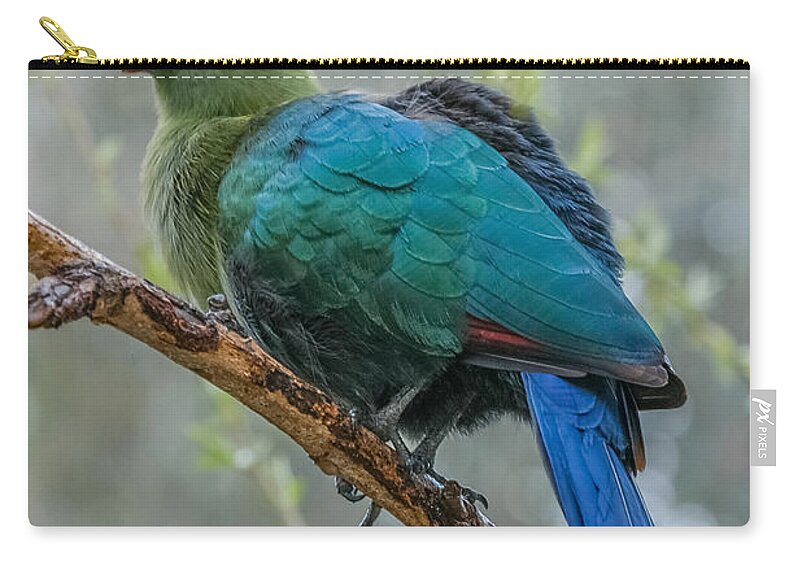 Al Andersen Zip Pouch featuring the photograph Livingstone's Turaco by Al Andersen