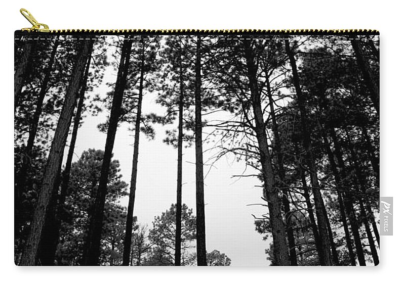 Tree Zip Pouch featuring the photograph Lodgepole Pines by Joe Kozlowski