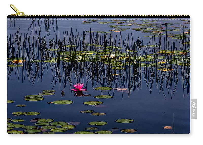 New Jersey Zip Pouch featuring the photograph Lone Pink Water Lily by Louis Dallara