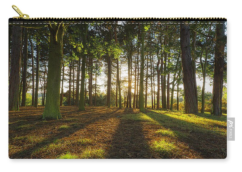 Scenics Zip Pouch featuring the photograph Long Shadows Through Trees by Verity E. Milligan