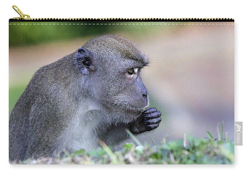 Long Tailed Macaque Zip Pouch featuring the photograph Long Tailed Macaque Feeding by Shoal Hollingsworth