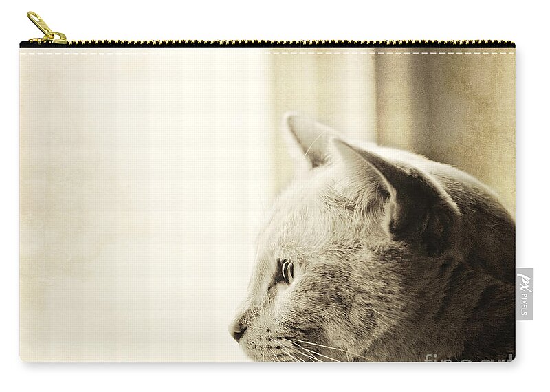 Cat Zip Pouch featuring the photograph Longing by Pam Holdsworth