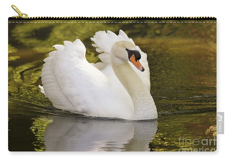 Bird Zip Pouch featuring the photograph Look At Me by Teresa Zieba
