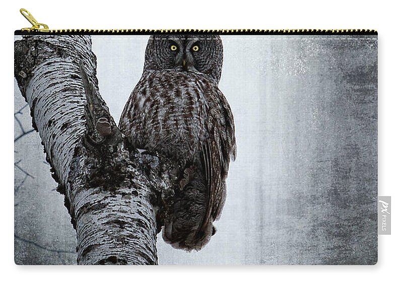 Bird Zip Pouch featuring the photograph Looking down by Lori Dobbs