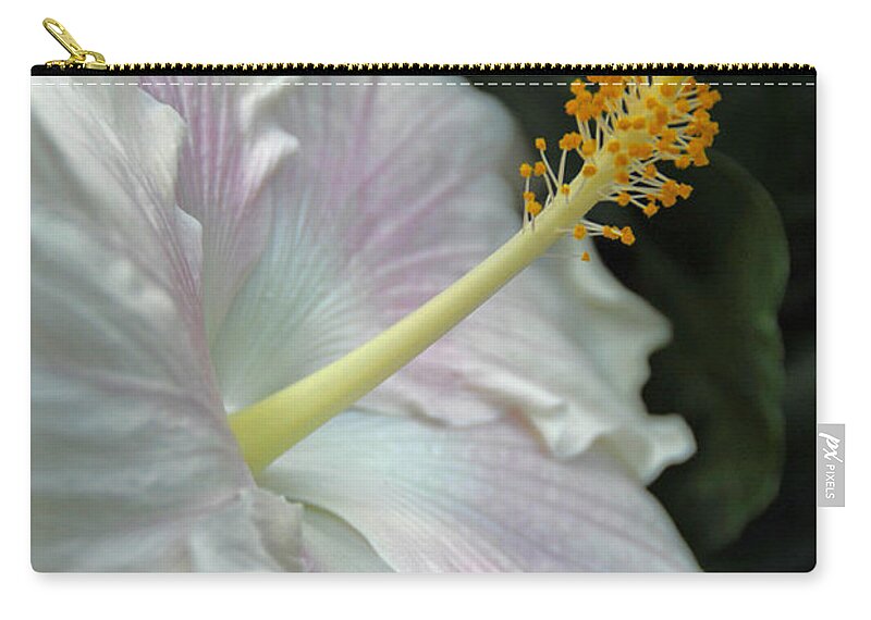 Floral Zip Pouch featuring the photograph Looking Up by Cindy Manero