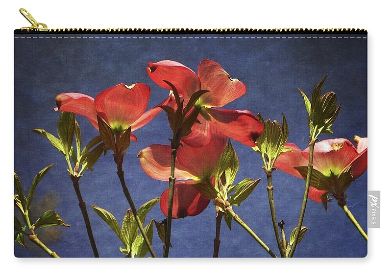 Dogwood Zip Pouch featuring the photograph Looking Up Dogwood Flowers by Dee Flouton
