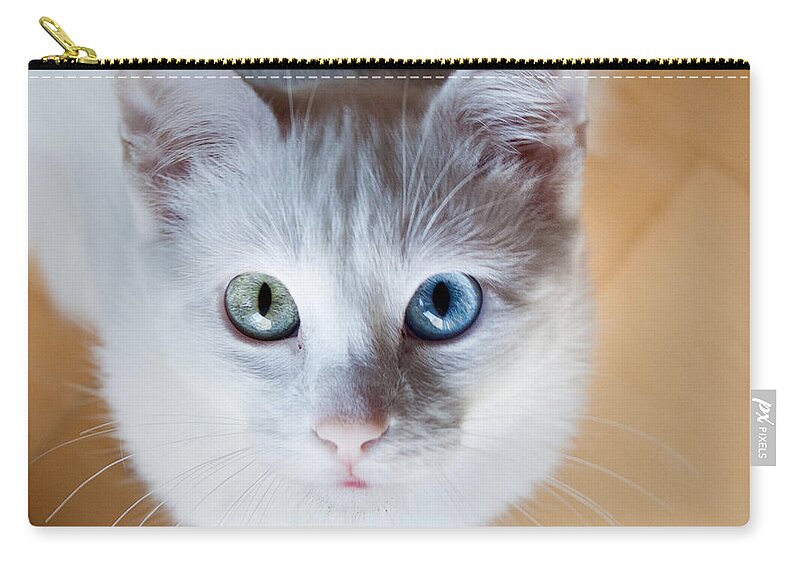 Cat Zip Pouch featuring the photograph Looking up by Jorge Maia