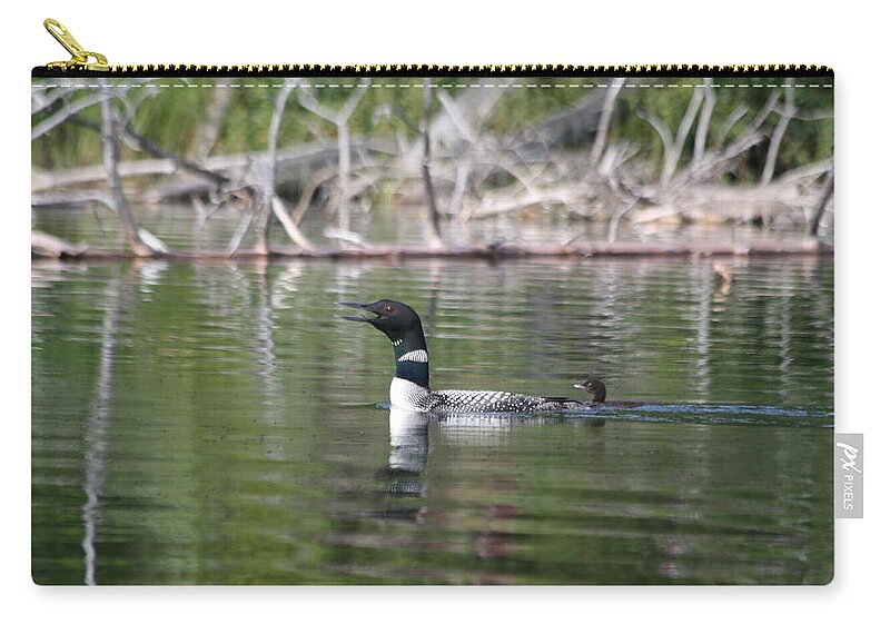 Loon Zip Pouch featuring the photograph Loon and baby by Lynne McQueen