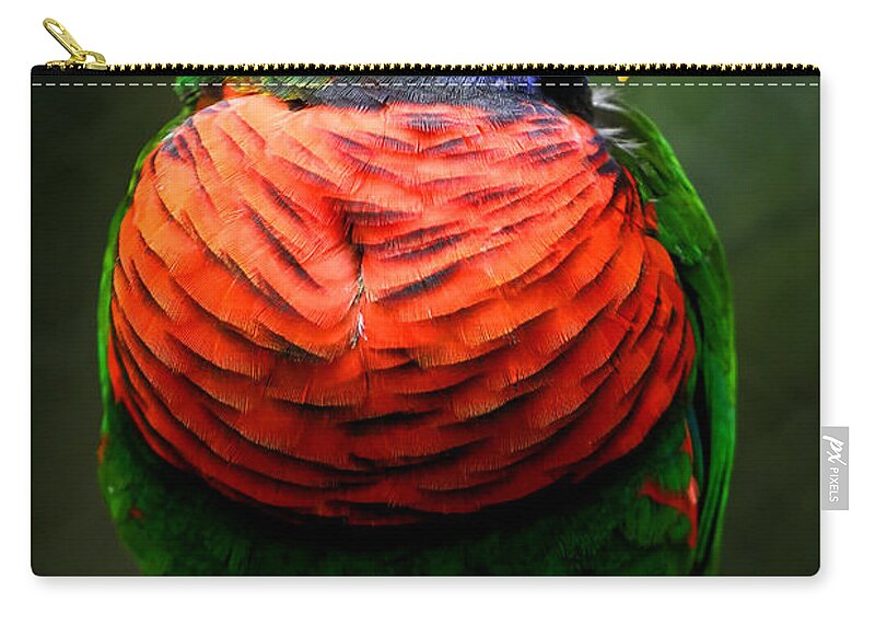 Lorikeet Zip Pouch featuring the photograph Lorikeet Perched by Athena Mckinzie