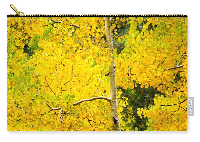 Aspens Zip Pouch featuring the photograph Lost In Yellow by Roselynne Broussard