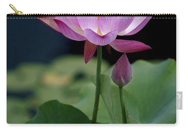 Lotus Blossom Zip Pouch featuring the photograph Lotus Blossom by Penny Lisowski