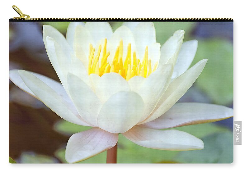 Lotus Zip Pouch featuring the photograph Lotus flower 02 by Antony McAulay