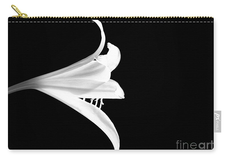 Macro Zip Pouch featuring the photograph Loud Lily by Sabrina L Ryan