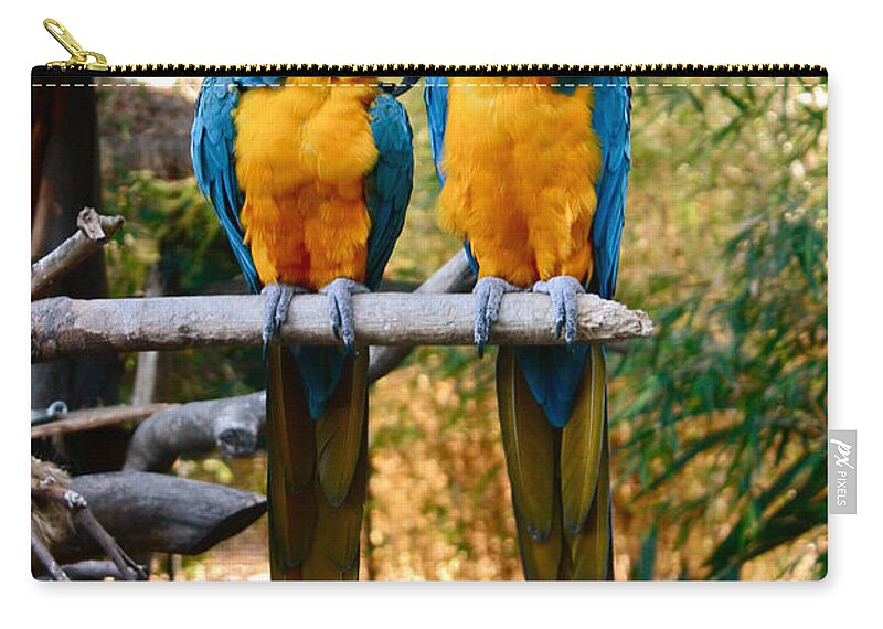 Santa Ana Zoo Zip Pouch featuring the photograph Love Birds by Carol Tsiatsios