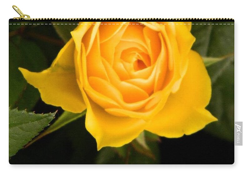 Scripture Carry-all Pouch featuring the photograph Love Is... by Gallery Of Hope 