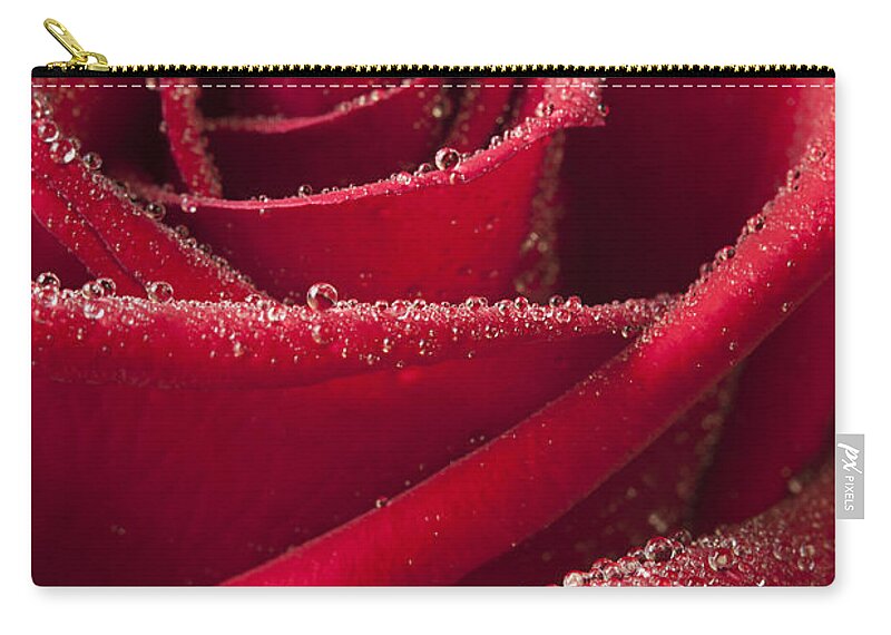 Rose Carry-all Pouch featuring the photograph Love by Patty Colabuono