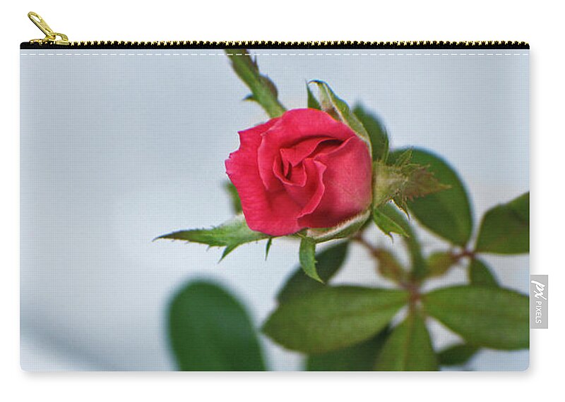 Rose Zip Pouch featuring the photograph Love Whispers Softly by Ella Kaye Dickey