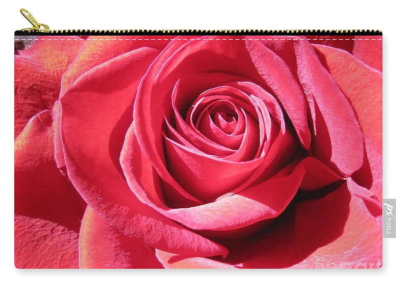Floral Zip Pouch featuring the photograph Luminous Pink Rose 4 by Tara Shalton