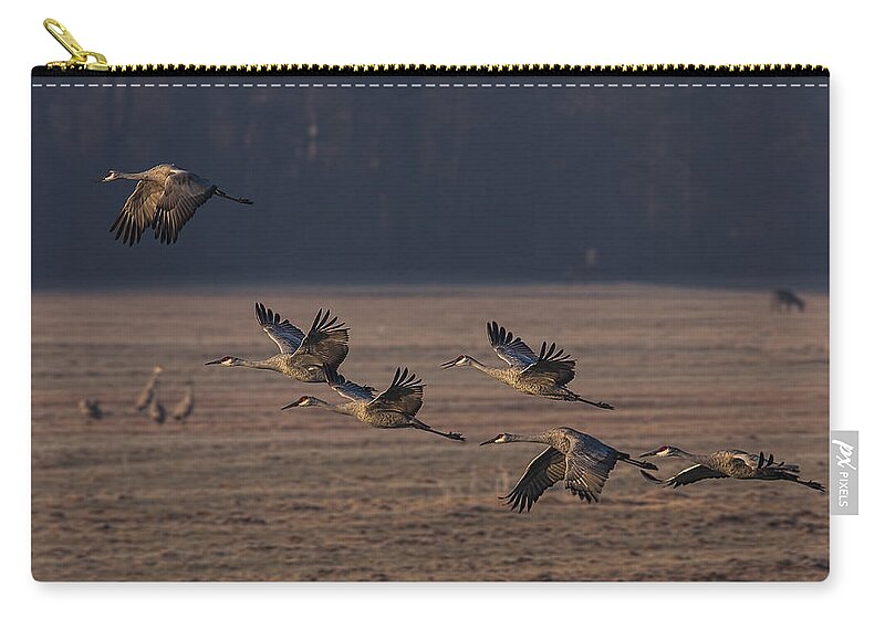 Animals Zip Pouch featuring the photograph Lunch Time by Jack R Perry