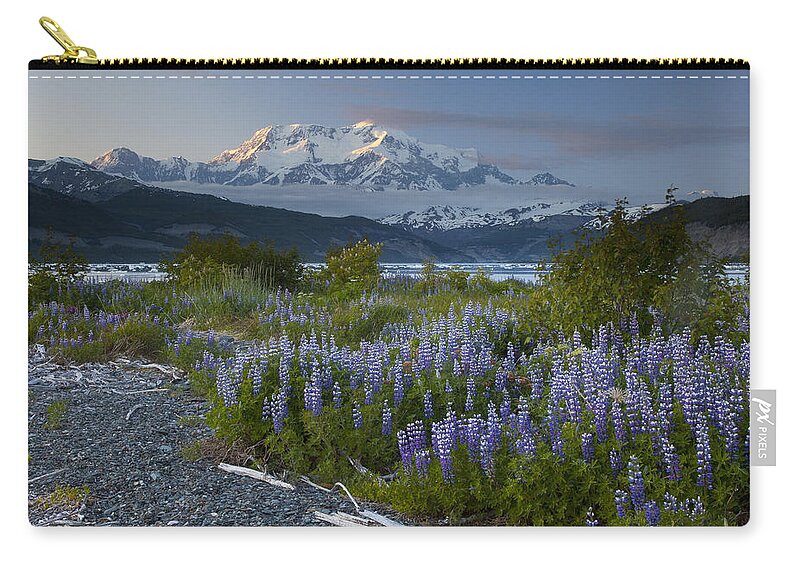 00477994 Zip Pouch featuring the photograph Lupine And Mount Elias by Matthias Breiter