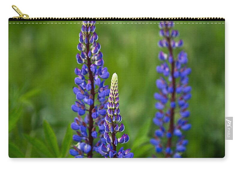 Outdoors Zip Pouch featuring the photograph Lupine trio by Eti Reid