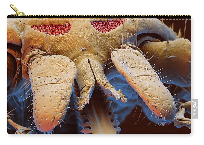 Insect Zip Pouch featuring the photograph Lyme Disease Tick Mouthparts by Eye of Science