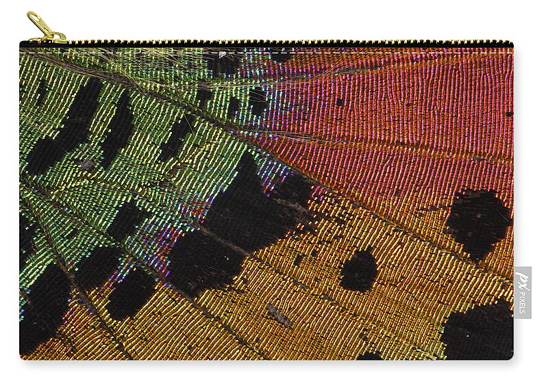 Feb0514 Zip Pouch featuring the photograph Madagascan Sunset Moth Wing Detail by Thomas Marent