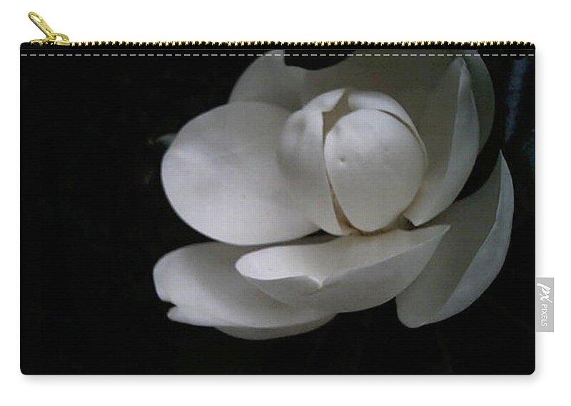 Photography Zip Pouch featuring the photograph Magnolia by Bertie Edwards