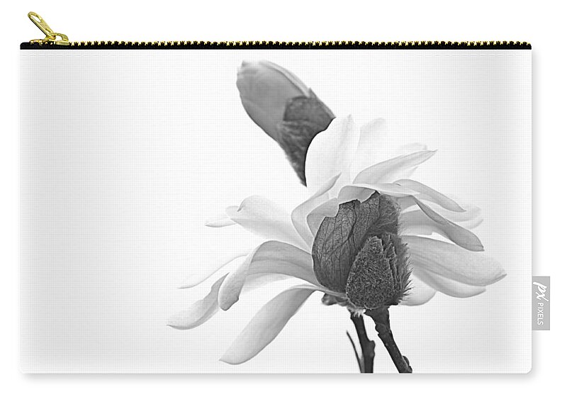 Flowers Zip Pouch featuring the photograph Magnolia Bloom 1 by Tammy Schneider