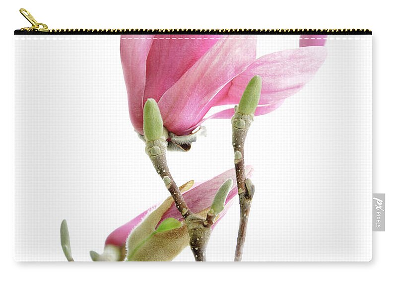 Andee Design Magnolia Zip Pouch featuring the photograph Magnolia Blossoms by Andee Design
