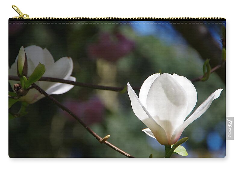 Magnolia Zip Pouch featuring the photograph Magnolia Blossoms by Marilyn Wilson